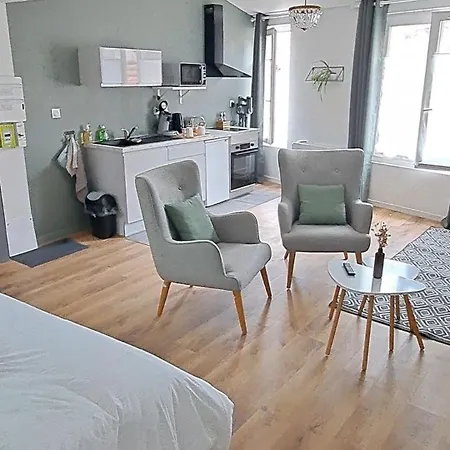 Apartmán La Porte Bleue - Juste Renove - Tres Propre - Grand Confort - Lumineux - Calme - Centre Historique *