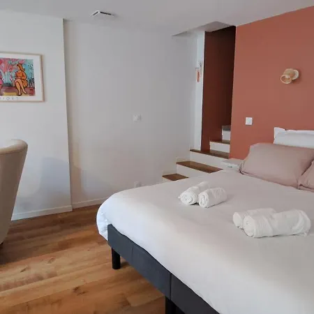 La porte Bleue - appartement juste rénové - très propre - grand confort - lumineux - calme - centre historique *