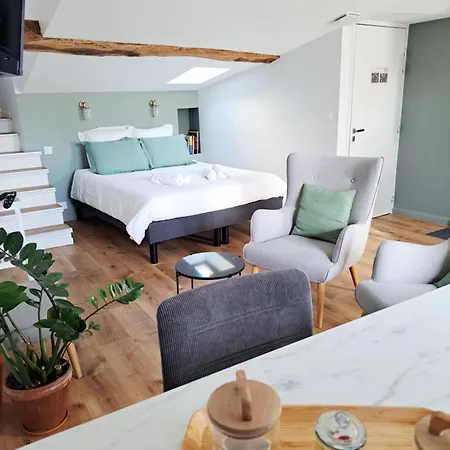 Apartamento La porte Bleue - appartement juste rénové - très propre - grand confort - lumineux - calme - centre historique